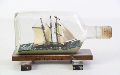 Small ship in bottle diorama by Don Watkins '81 (L20cm) together with a baby taxidermy turtle (L10cm, broken leg)