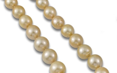 South Sea pearl necklace, golden, tapered