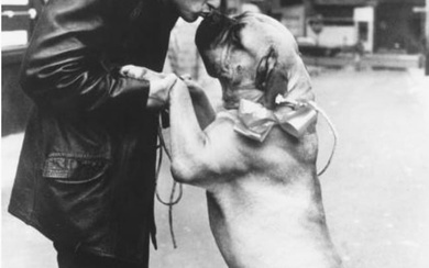 Sylvester Stallone Photo with Dog