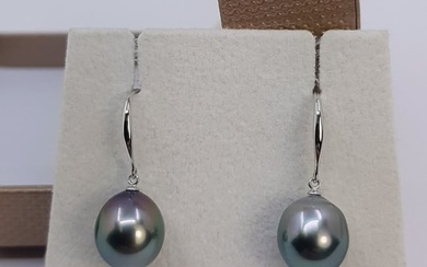 10x11mm Peacock Tahitian Pearl Drops - 14kt gold - White gold - Earrings