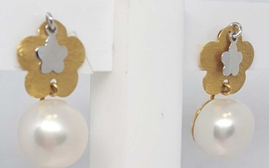 18 kt. White gold, Yellow gold - Earrings pearl