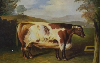 19th Century Oil Painting On Board Cow