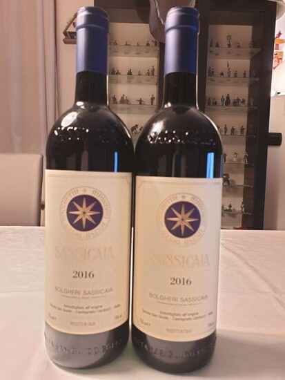 2016 Tenuta San Guido Sassicaia - Super Tuscans - 2 Bottles (0.75L)