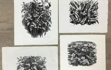4 George Mackley Wood Engravings of Flowers