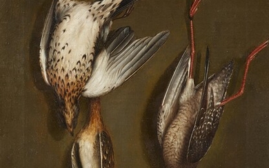 Cornelis Biltius, in the manner of - Trompe l'oeil with Birds