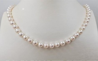 6.5x7mm Bright Akoya pearls - Necklace