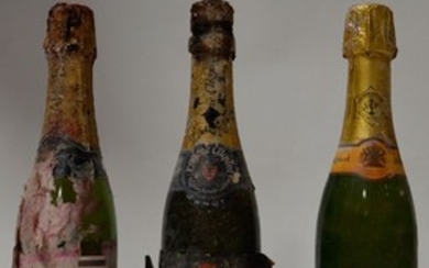 12 demi-bouteilles CHAMPAGNE (très vieux,…