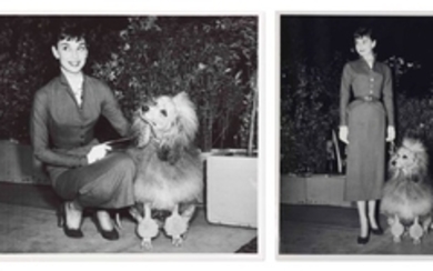 GIGI, U.S. TOUR, 1952-1953 GEORGE SHIMMON, Audrey Hepburn with a poodle, Palace Hotel, San Francisco, circa 1953