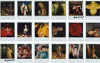 Nobuyoshi Araki, 36 Polaroids