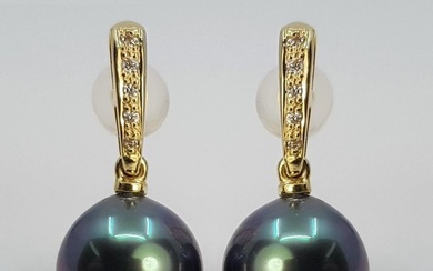 9x10mm Peacock Tahitian Pearl Drops - 14 kt. Yellow gold - Earrings - 0.08 ct