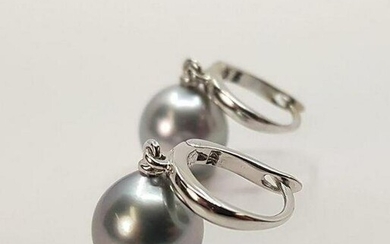 9x10mm Silvery Tahitian Pearl Drops - 14 kt. White gold - Earrings