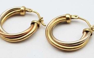 A 9 K tri-coloured gold pair of hoop earrings,...