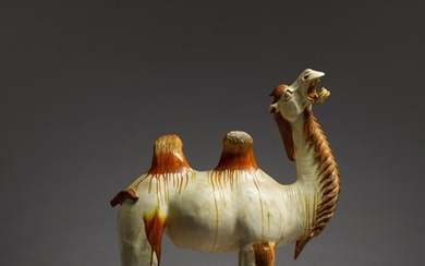 A magnificent amber and straw-glazed pottery figure of a Bactrian camel, Tang Dynasty | 唐 白釉褐彩駱駝, A magnificent amber and straw-glazed pottery figure of a Bactrian camel, Tang Dynasty | 唐 白釉褐彩駱駝