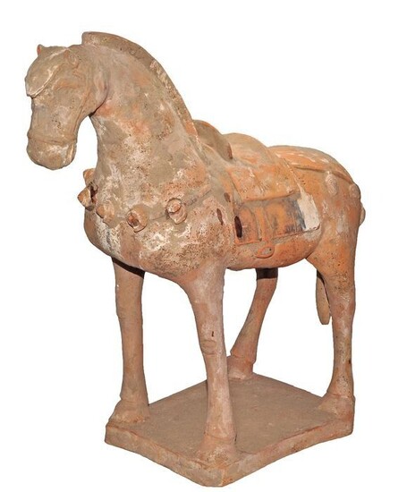 Ancient Chinese Terracotta Terracotta Ceremonial Horse with TL Test