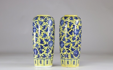 Asie paire de vases en porcelaine sur fond jaune Chine?