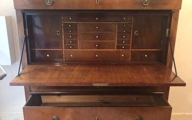 Bureau cabinet - Louis XVI Style - Burr walnut - 19th century