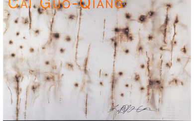 Cai Guo-Qiang (b. 1957), A Explosion Event: Light Cycle over Central Park, exhibition poster (2005)