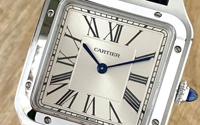 Cartier - Santos Dumont - WSSA0022 - Men - 2011-present