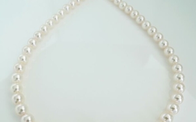 Certified Aurora HANADAMA - Akoya Pearls, True Collection Quality 8 -8.5 mm - No Reserve Price - 18 kt. White gold - Necklace