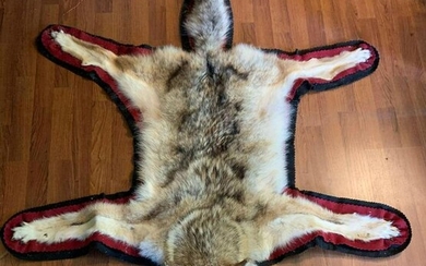 Coyote fur rug