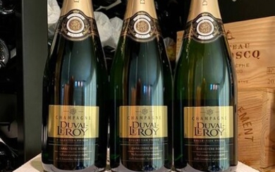 Duval-Leroy Caractère Boisé - Champagne Brut - 9 Bottles (0.75L)
