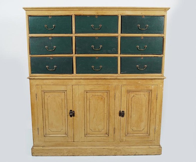 EDWARDIAN PAINTED LIBRARY CABINET