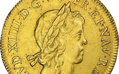 France, Louis XIV, Double louis d'or à la mèche longue,...