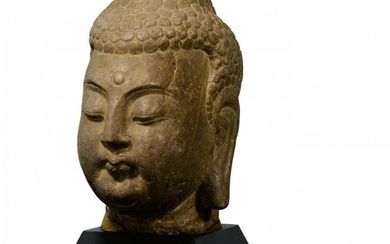 Important large head of a Buddha