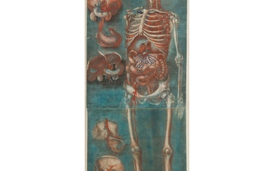 JACQUES-FABIEN GAUTIER DAGOTY (1710-1781) Squelette Planches nos XV et XVI raccordées, d’une suite de 20...