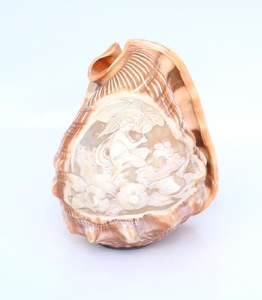 Lamp shade. Engraved sea shell.