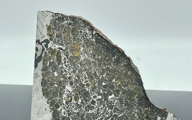 Large XXL SEYMCHAN Meteorite Polished HIGH QUALITY - 231 g