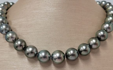 NO RESERVE - 11x13.2mm Large Peacock Tahitian Pearls - 14 kt. Yellow gold - Necklace