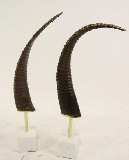 PAIR OF EXOTIC HORNS ON BASES