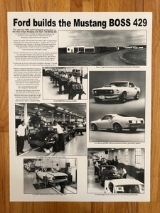 RARE - BOSS 429 FORD MUSTANG POSTER