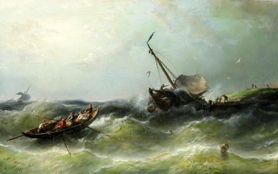 Riegen Nicolaas (1827-1889) wilde zee