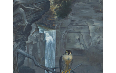 Robert Verity Clem (American, 1933-2010) Peregrine Falcon at Taughannock Falls 34 1/2 x 26 1/2 in. (87.0 x 67.5 cm) framed 38 3/4 x 30 3/4 in.