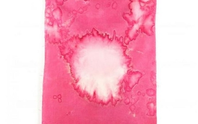Sam Falls (b. 1984), Untitled (Pink, Joshua Tree, CA)
