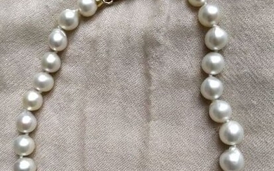 South Sea Pearls 13-17 mm - 18 kt. Gold - Necklace
