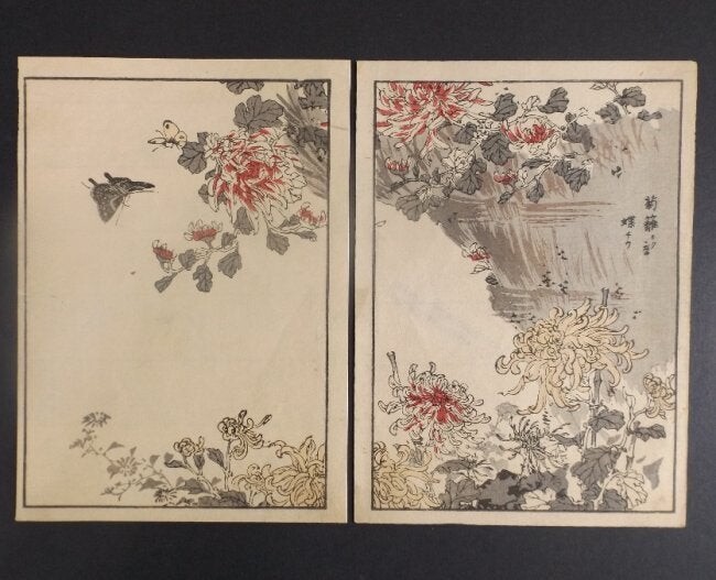 Yukoku Matsui, Chrysanthemum, Butterfly 1stPrint, 1901