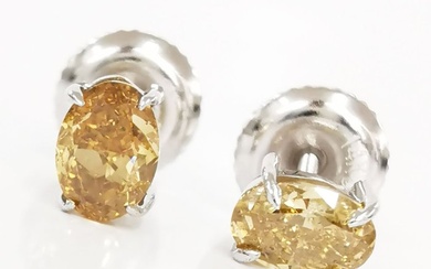 *no reserve* 0.80 ct Natural Mix Fancy Colors Diamond Designer Earrings - 0.90 gr - 14 kt. White gold - Earrings - 0.80 ct Diamond