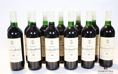 12 bouteilles CHÂTEAU BRANAS GRAND POUJEAUX Moulis…