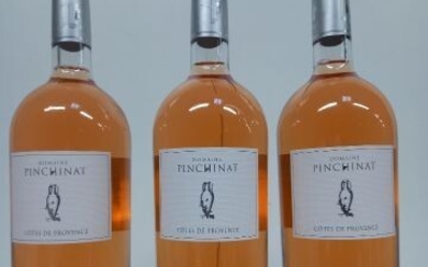 3 Magnums (150cl) Côtes de Provence Rosé... - Lot 70 - Enchères Maisons-Laffitte
