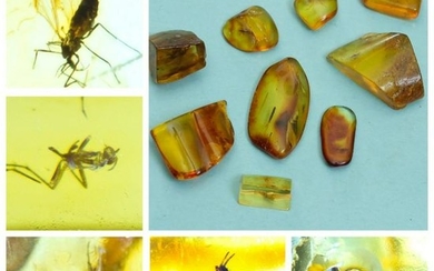 4.86 g. collection of 100% natural Baltic amber 9