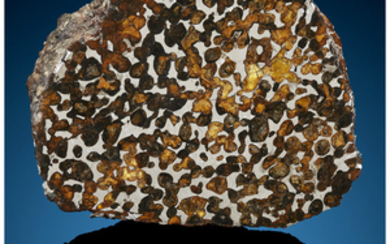 Sericho Meteorite End Cut Pallasite Kenya - (1°5'41.16"N,...