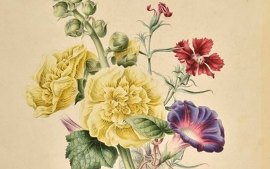 Andrews (James). Flora's Gems: or The Treasures of the Parterre..., 1830
