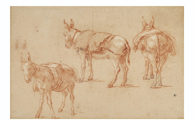 Giovanni Battista Tiepolo (Venice 1696-1770 Madrid), Three studies of a donkey