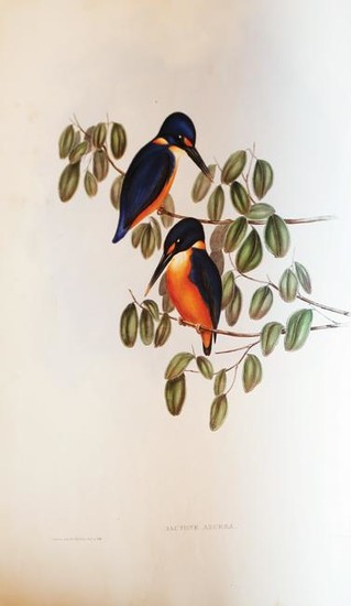 Gould's Birds of Australia