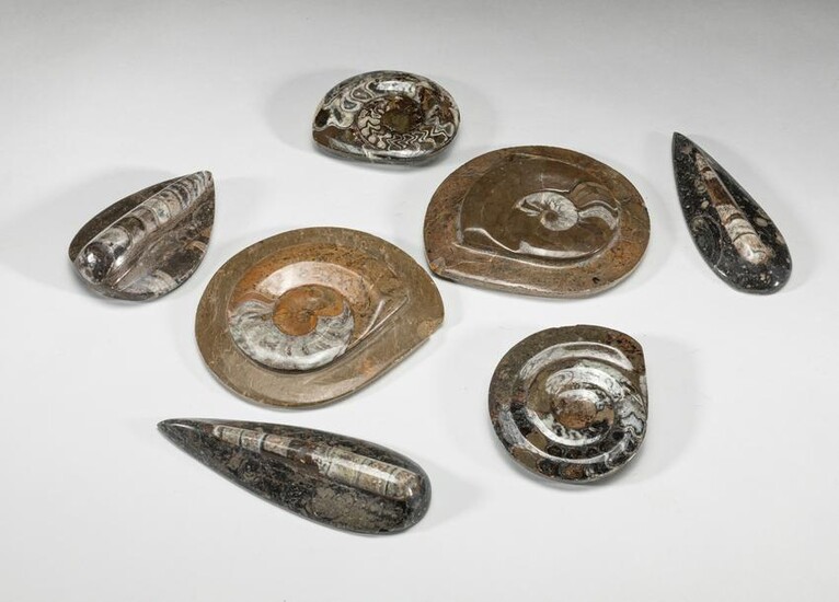 Group of Collectible Fossil Table Sculptures