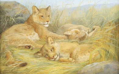 HARRY DIXON (1861-1942) LION CUBS