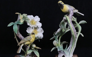 Royal Worcester Pair Hooded Warbler Bird Figures